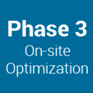 Search-Engine-Optimization-Phases-Vab-Media
