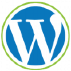 wordpress-development