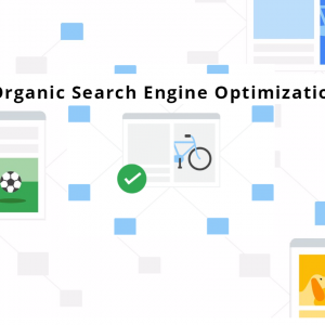 organic seo services nyc