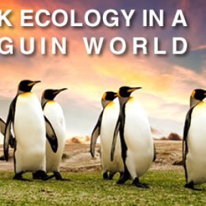 The-New-Link-Strategies-In-A-Post-Panda-Penguin-World
