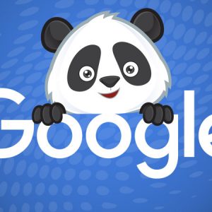 google-panda-algorithm-updates