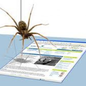 search-engine-spider-seo-services