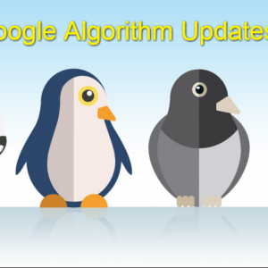 google-algorithm-updates