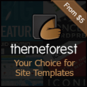 site-templates-themeforest-wordpress-cms-themes