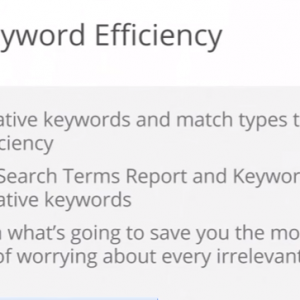 negative-keywords-improve-efficiency