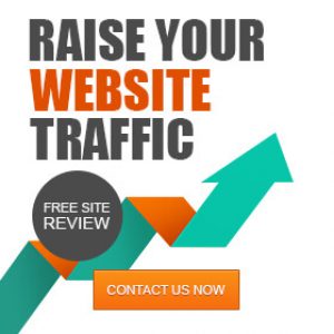 Get-more-traffic-site-seo-audit