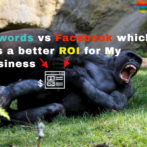 facebook-vs-adwords-which-has-better-roi-for-business