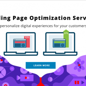 landing-page-optimization-services-NYC