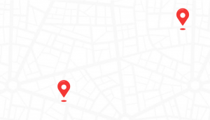 Google local optimization NYC