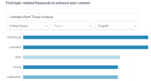 writing for search and keyword topics