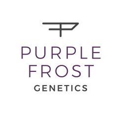 purple frost cannabis
