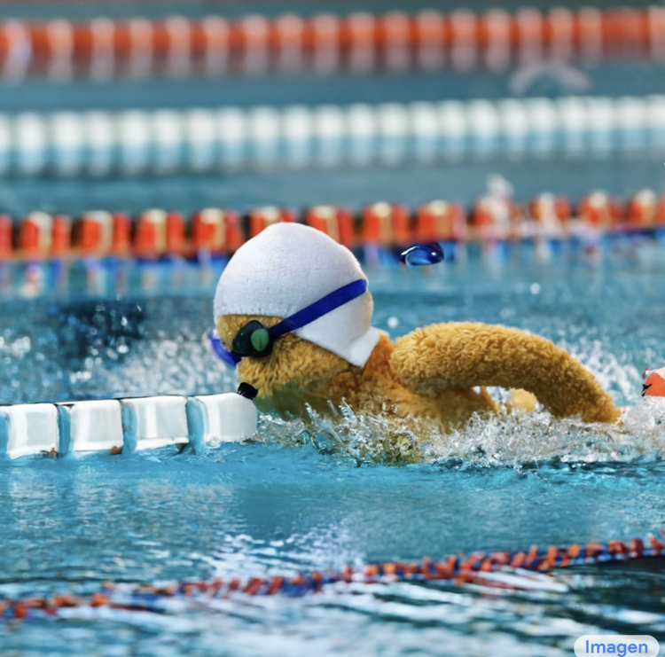 Teddy bear competing in Olympic swimming 